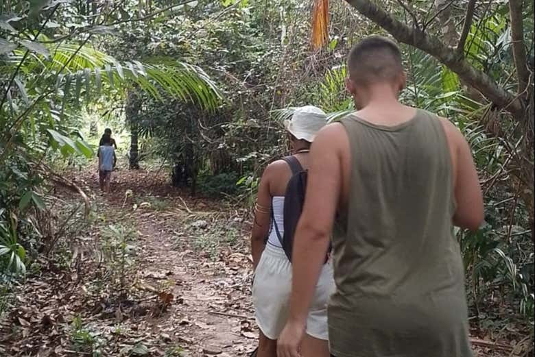 Exploraremos a floresta amazônica