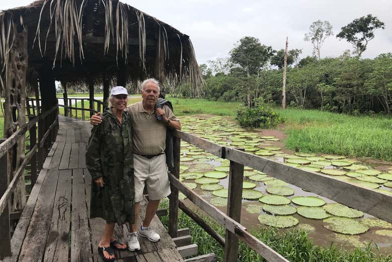 Enjoying the jungle landscapes