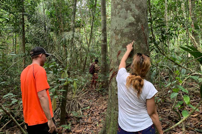 Descubriendo el Amazonas