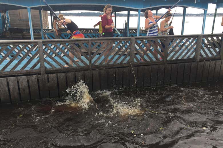 Fishing for piranhas