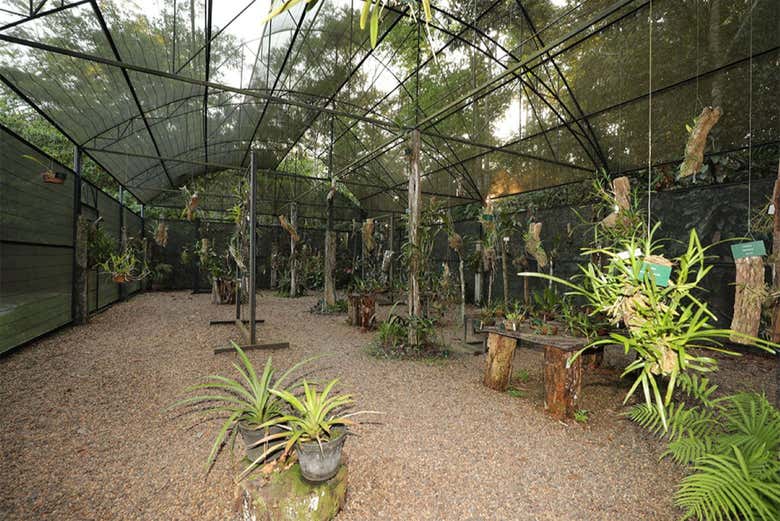 El orquidario del Museo de la Amazonia