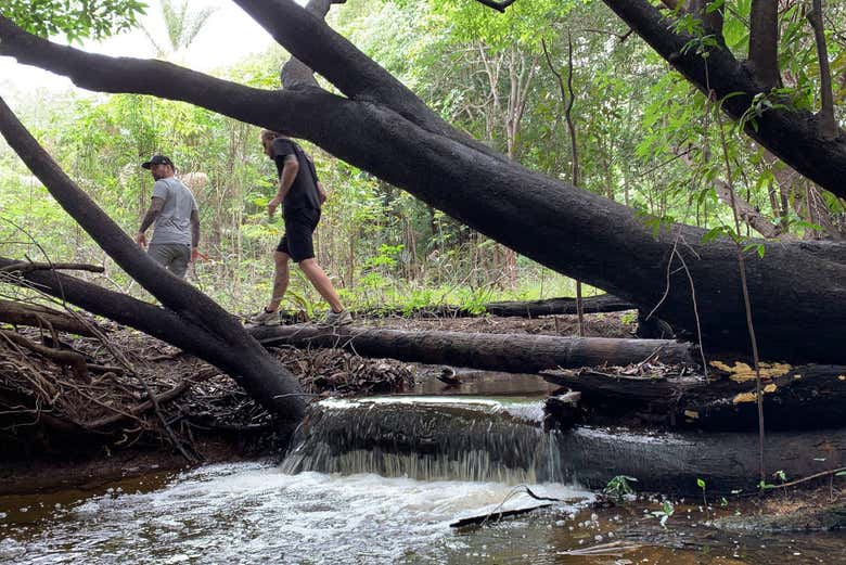 De paseo por la selva amazónica