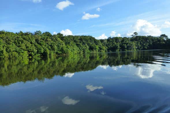 Tour de 2 dias pela floresta amazônica