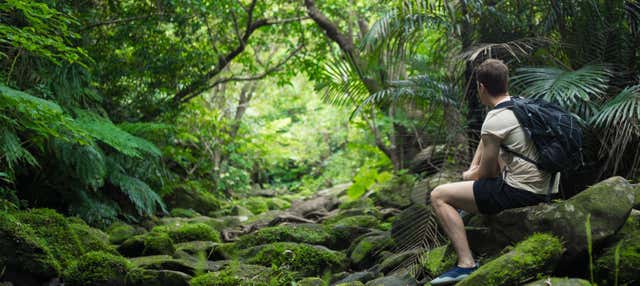 Tour de 3 dias pela selva amazônica