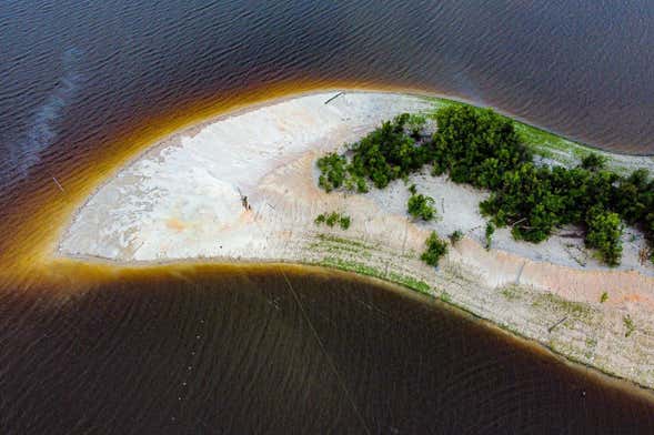 Tour de 4 ou 5 dias pelo rio Negro