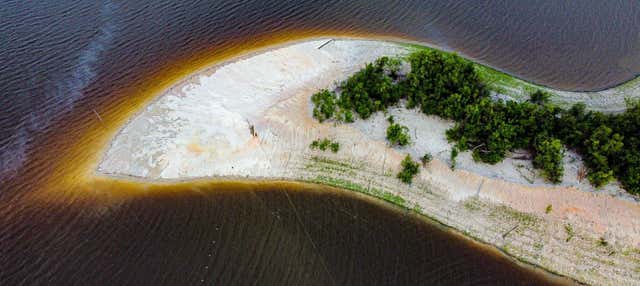 Circuit de 4 jours au rio Negro