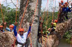 Circuit aventure dans la forêt amazonienne