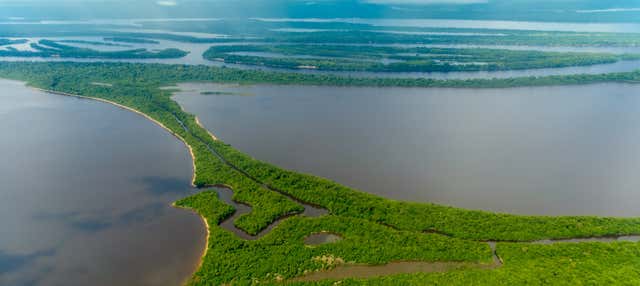 Tour pela floresta amazônica e ilhas Anavilhanas