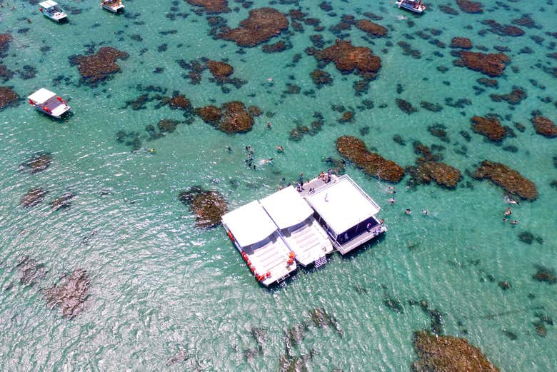 Catamarãs vistos do alto