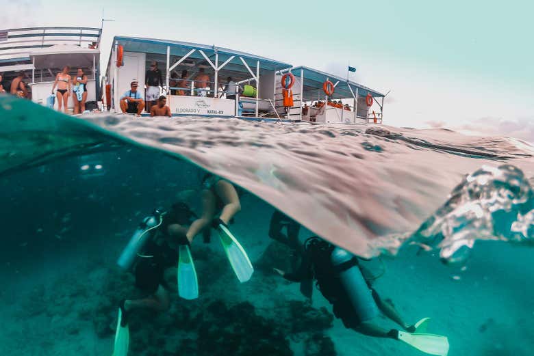Snorkel en el arrecife de Maracajaú