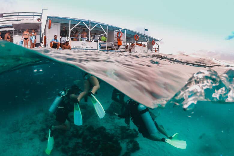 Snorkel nos parrachos