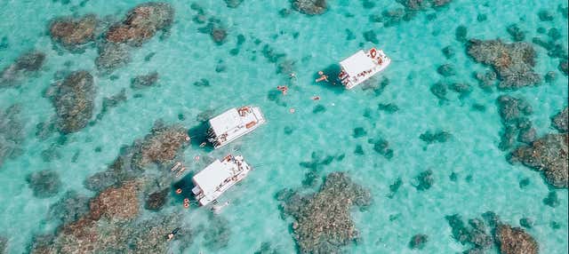 Passeio de catamarã e snorkel nos parrachos de Maracajaú