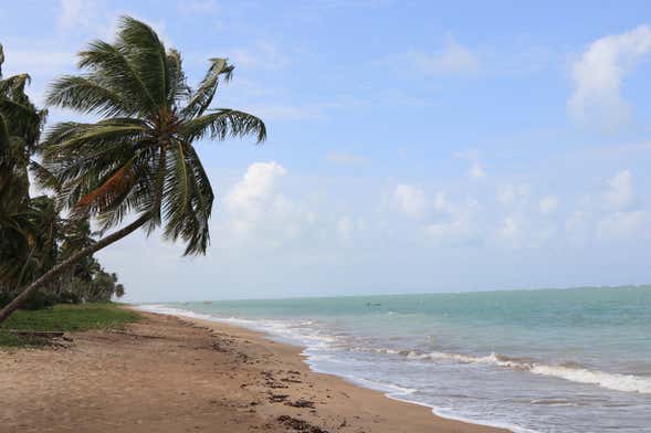 Excursão à praia dos Carneiros