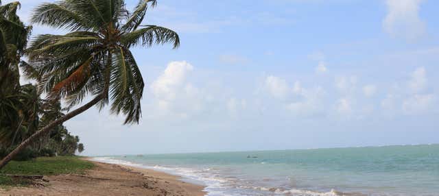 Excursão à praia dos Carneiros