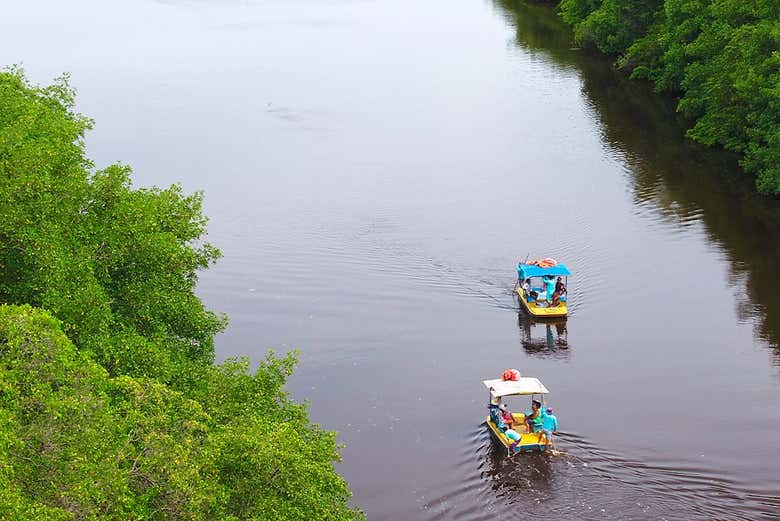 Navegando as águas em embarcações tradicionais