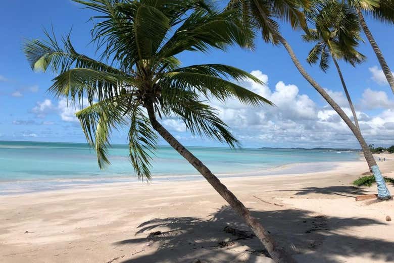 Palmeras de la playa Antunes
