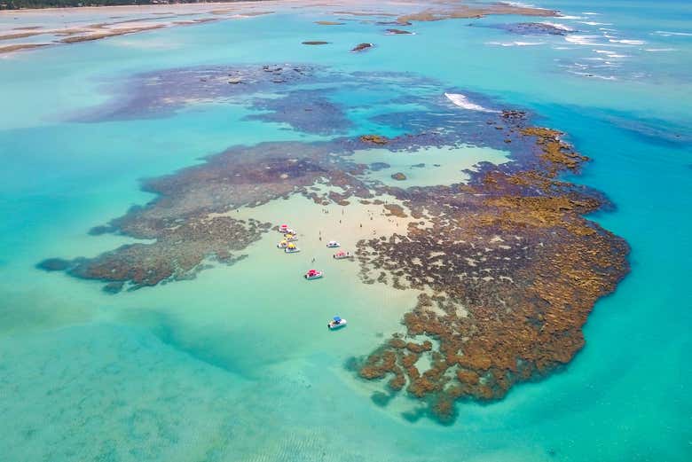 Vista área de recifes nas piscinas naturais de Maragogi