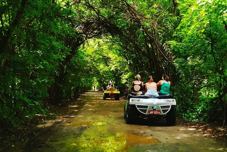 Recorriendo en buggy los alrededores de Maragogi