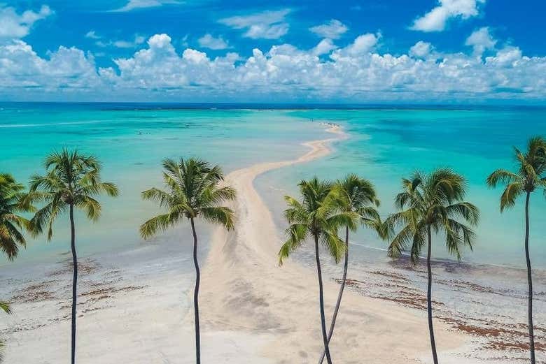 Los paisajes de Maragogi os cautivarán desde el primer instante