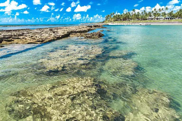 Os sorprenderán las playas de aguas cristalinas de Maragogi