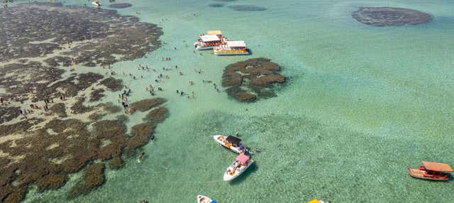 Passeio de lancha pelas piscinas naturais de Maragogi