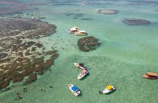 Passeio de lancha pelas piscinas naturais de Maragogi