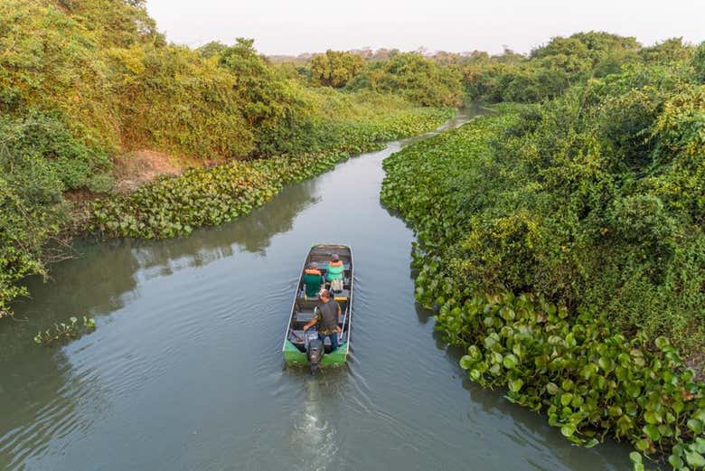 Paseo en barco por el río Miranda