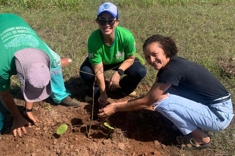 Preparando el terreno para la plantación