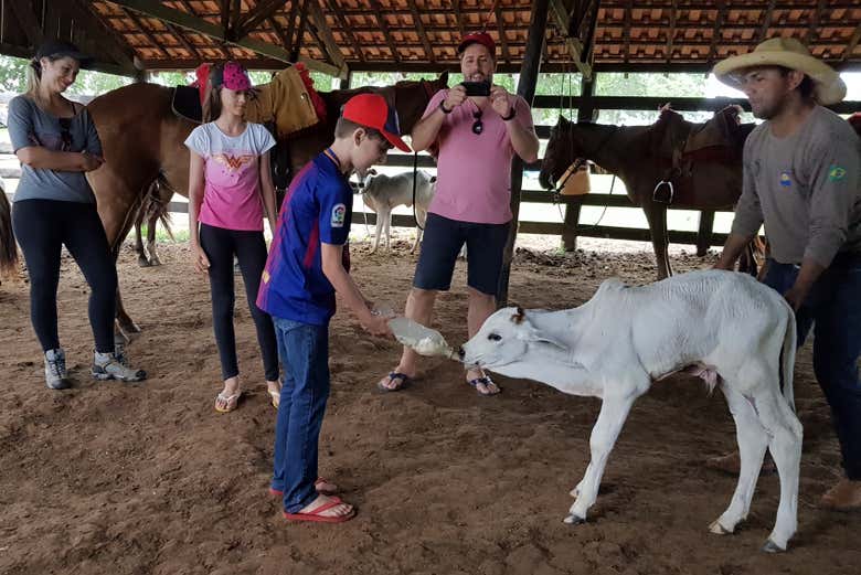 Meet the farm's animals