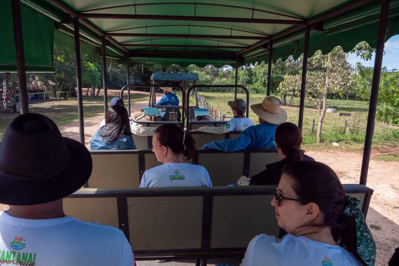 Tour the farm!