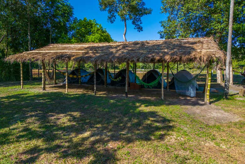 Tents set up at the campsite