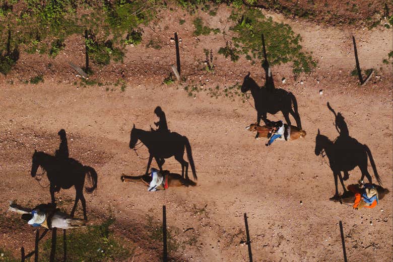 Go horseback riding in Pantanal!