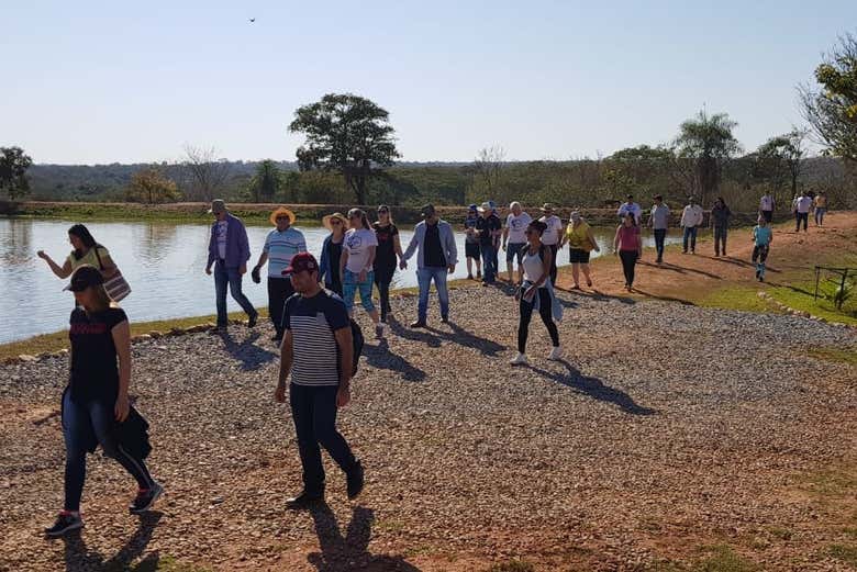 Hiking around Pantanal