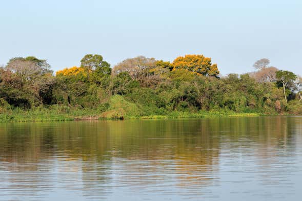 Paseo en barco por Miranda