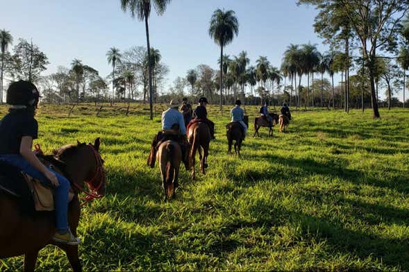 Balade à cheval sur les rives de la rivière Agachi