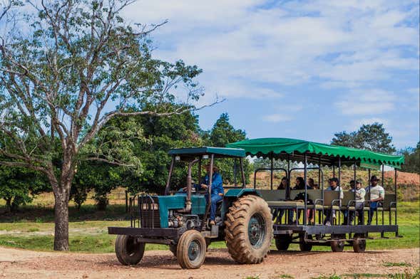 Pantanal Experiência Farm Tour + Agachi Museum