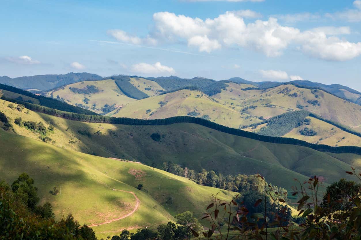 5. Tour de Bicicleta por Monte Verde