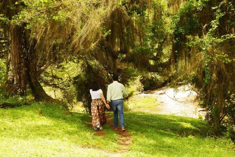 Getting to know the regional flora