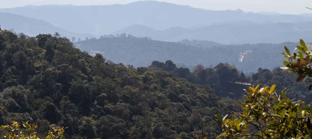 Tour de 4x4 por Monte Verde