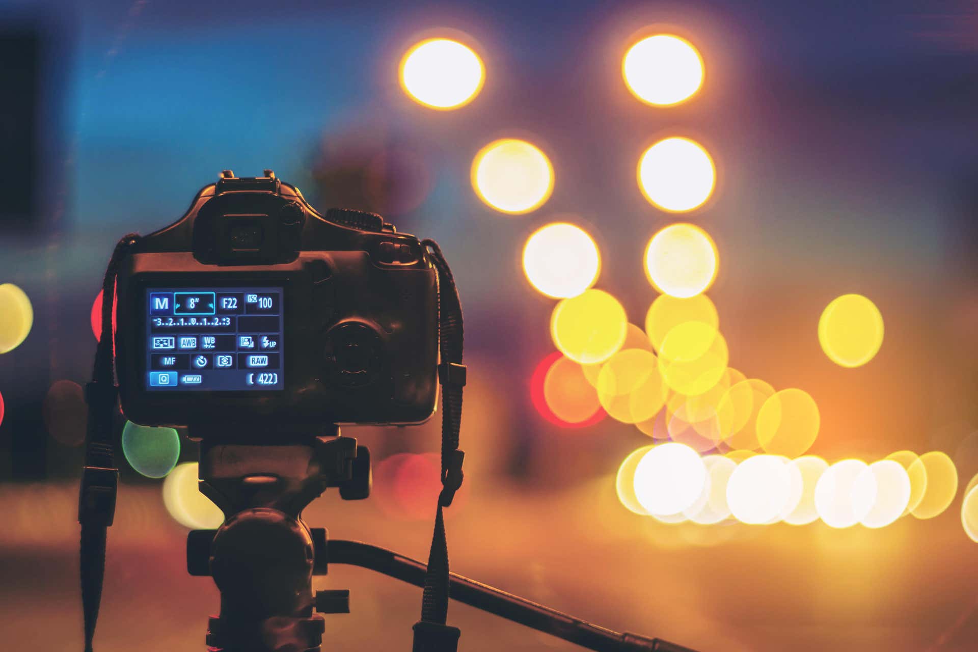 Monte Verde Night Photography Tour - Book Online at Civitatis.com