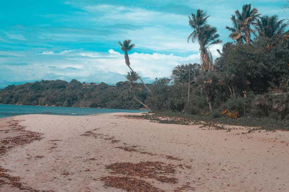 Excursión a la isla de Boipeba