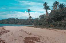 Excursión a la isla de Boipeba