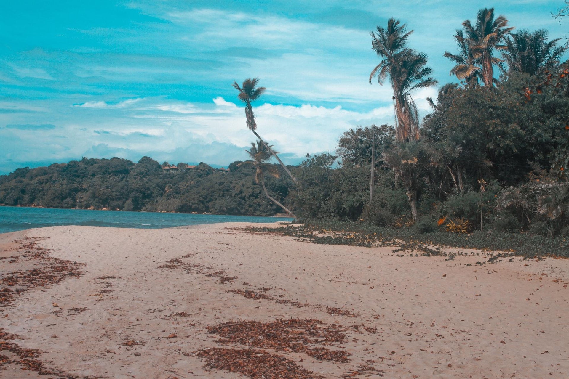 Excursão às praias de Moreré e Cueira na Ilha de Boipeba
