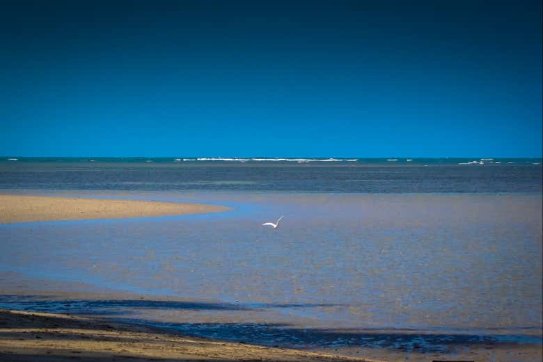 Você poderá se banhar em um verdadeiro paraíso na terra