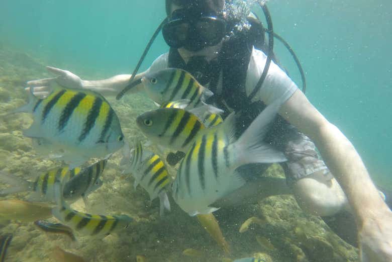 A rich marine ecosystem