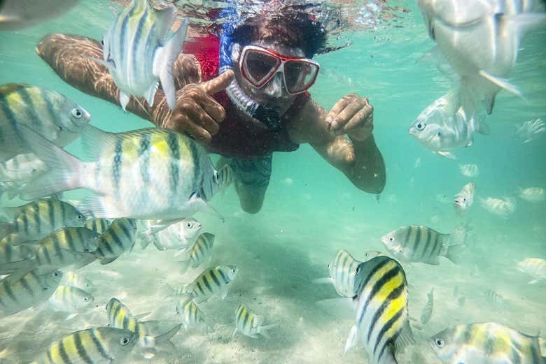 Learning to dive on Caitá Island