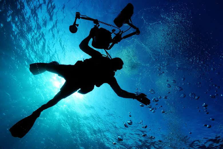 Diving in Brazil