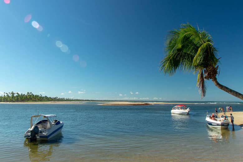 Boats near the beach
