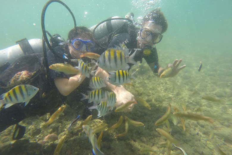 Underwater!