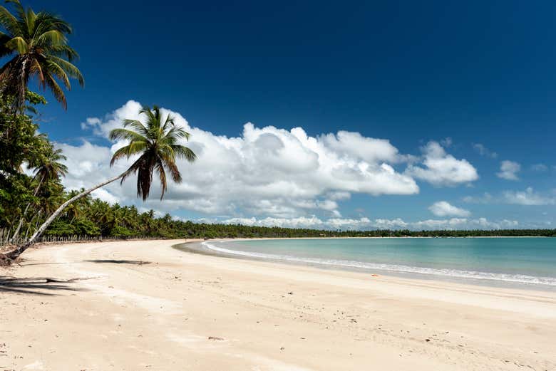 One of the paradise beaches in the area